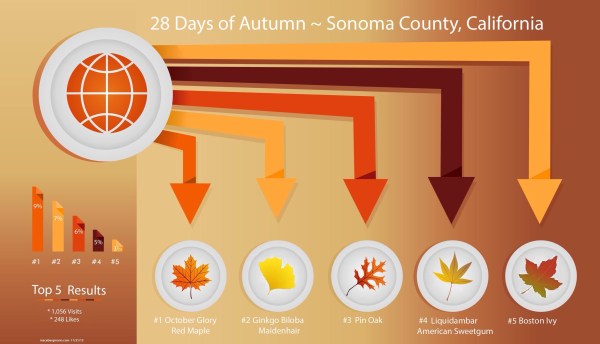 28 Days of Autumn, Sonoma County CA