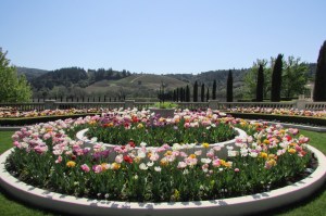 Ferrari Carano Vineyard and Winery garden - Healdsburg - Dry Creek Valley