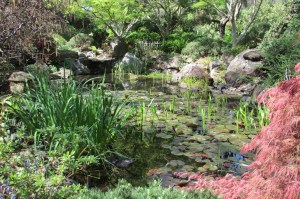 Dry Creek Valley to Ferrari Carano Vineyard & Winery.