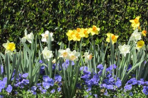 Dry Creek Valley to Ferrari Carano Vineyard & Winery.