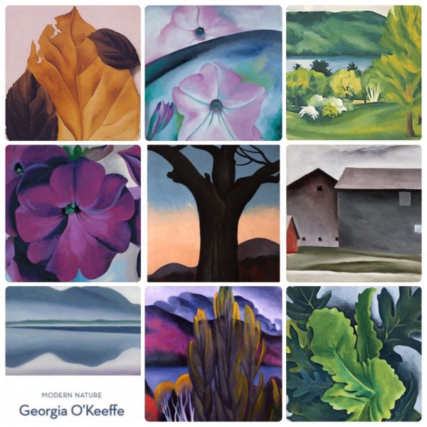 Modern Nature: Georgia O’Keeffe and Lake George - de Young Fine Arts Museum